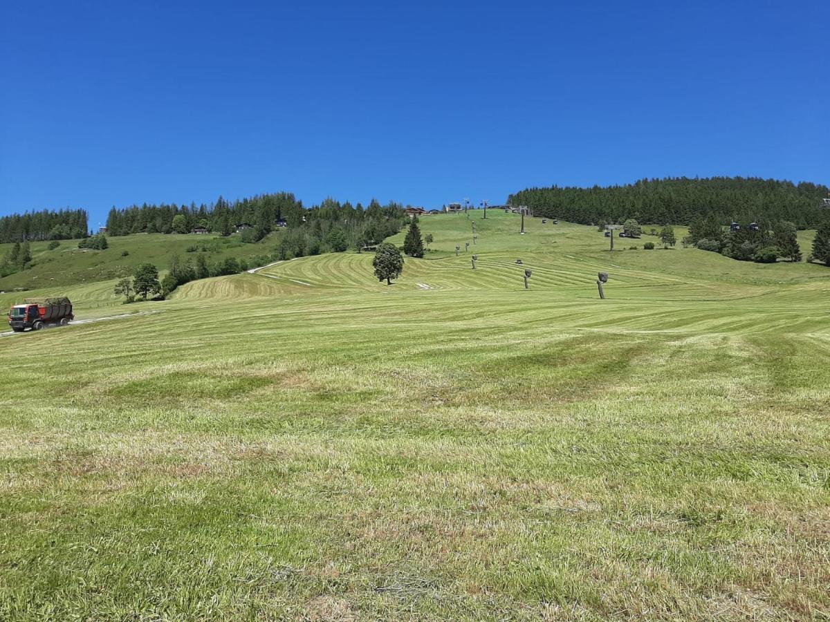 Bio-Bauernhof Hatzbauer Марія-Альм-ам-Штайнернен-Мер Екстер'єр фото