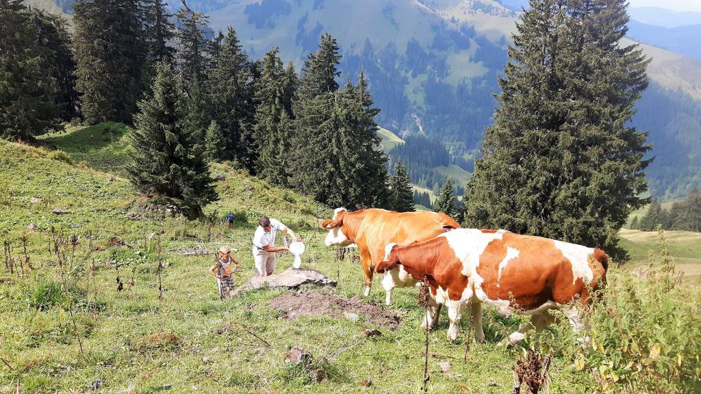 Bio-Bauernhof Hatzbauer Марія-Альм-ам-Штайнернен-Мер Екстер'єр фото