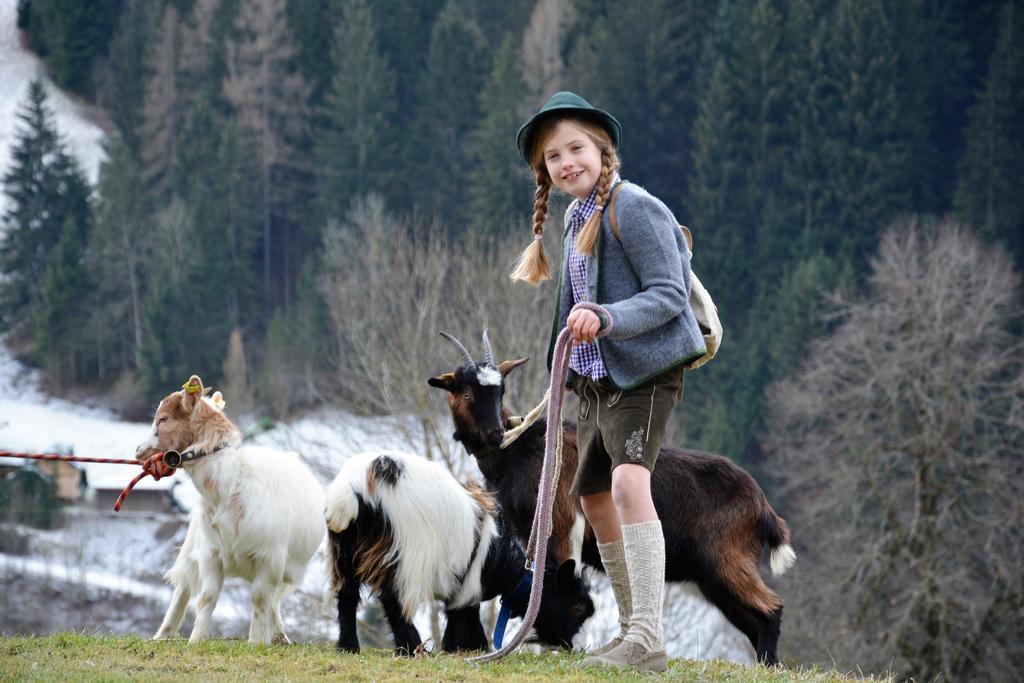 Bio-Bauernhof Hatzbauer Марія-Альм-ам-Штайнернен-Мер Екстер'єр фото