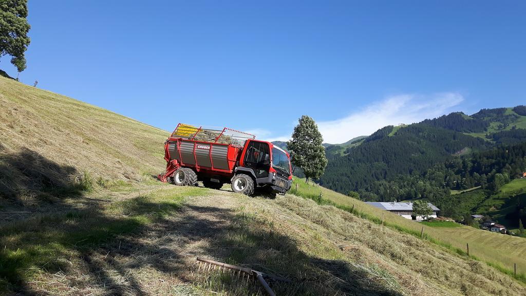 Bio-Bauernhof Hatzbauer Марія-Альм-ам-Штайнернен-Мер Екстер'єр фото