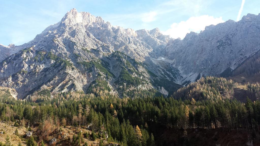 Bio-Bauernhof Hatzbauer Марія-Альм-ам-Штайнернен-Мер Екстер'єр фото